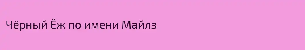 Чёрный Ёж по имени Майлз